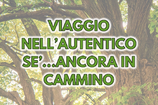 Ancora in cammino